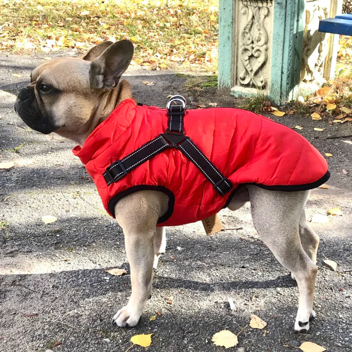 Hundejacke.