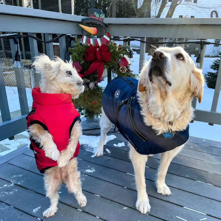 Hundejacke.