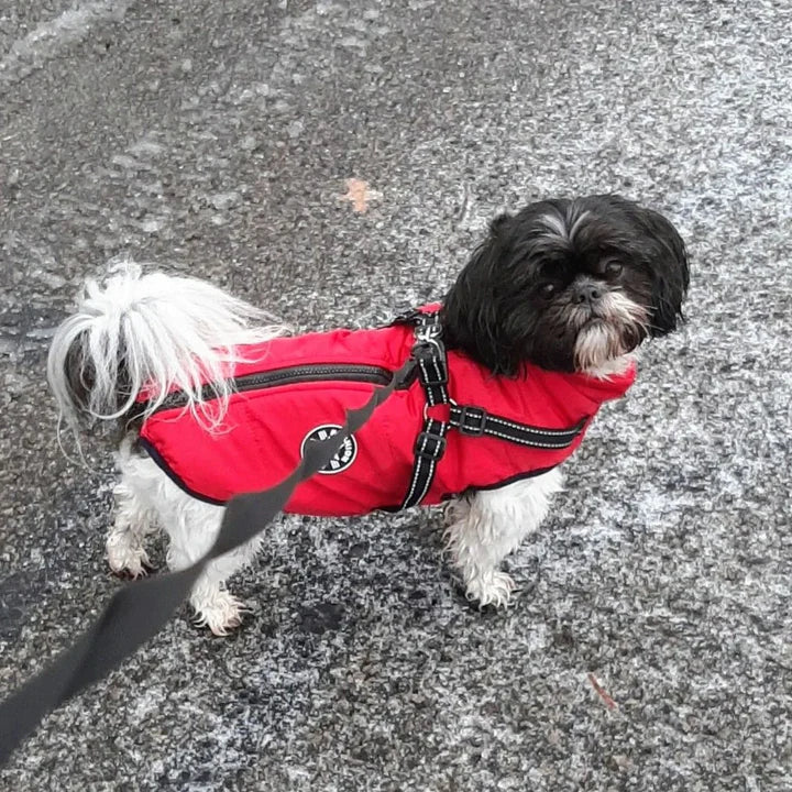 Hundejacke.