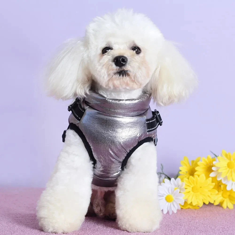 Hundejacke.