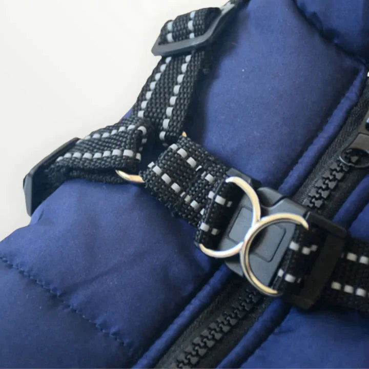 Hundejacke.