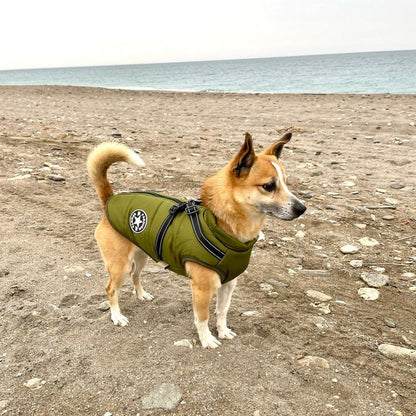 Hundejacke.